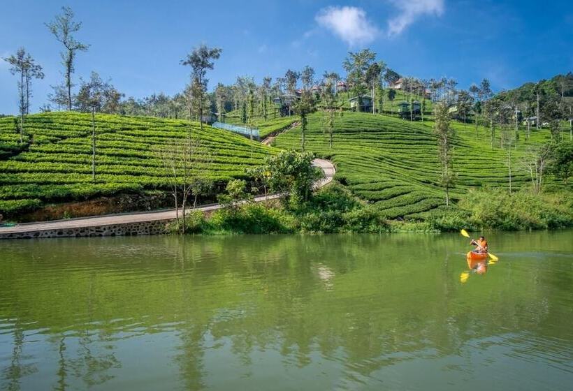 酒店 Wild Planet Resort