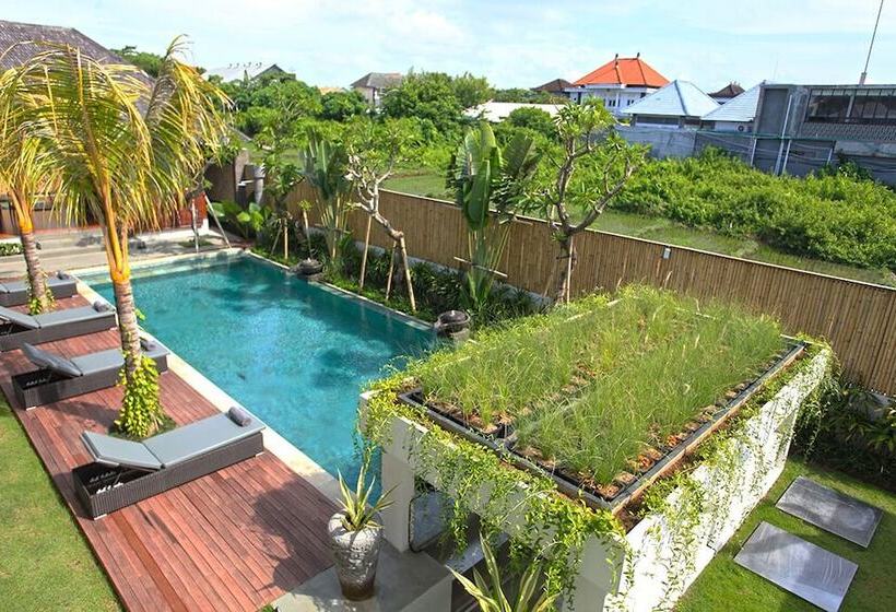 פנסיון Elite Cassia