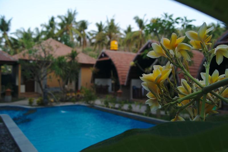 פנסיון Ghamed Sari