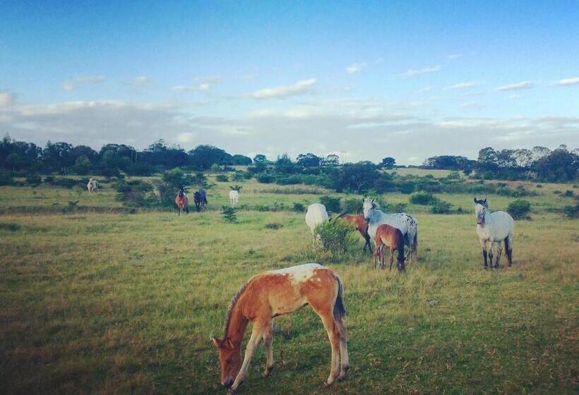 펜션 Kingston Farm