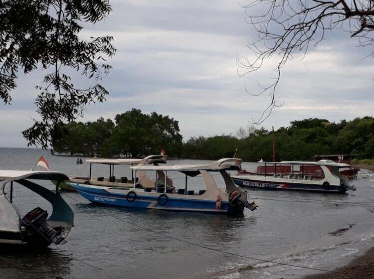 פנסיון Menjangan Hostel