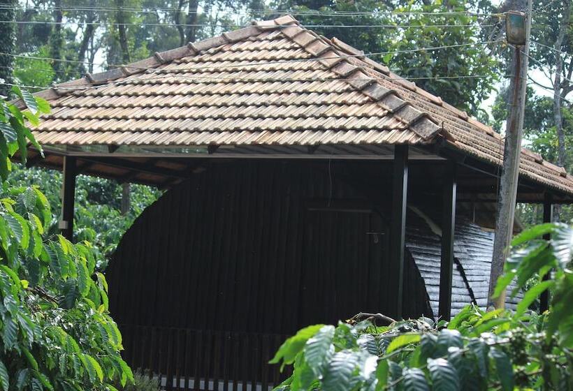 אתר נופש Muccole Stay