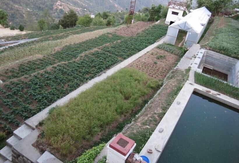 Trishul Orchard Resort