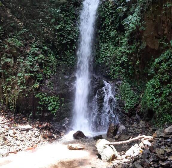 Общежитие Beach Guest House