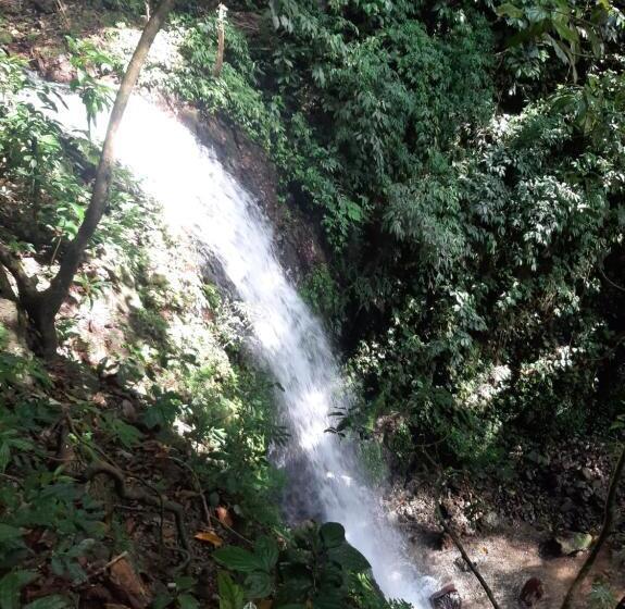 Общежитие Beach Guest House