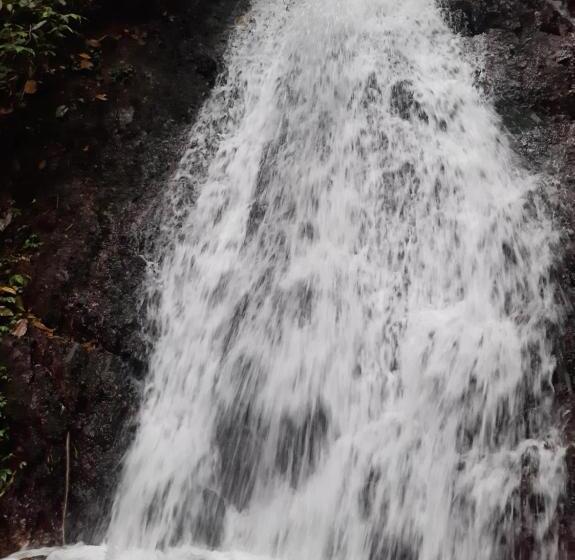 Общежитие Beach Guest House