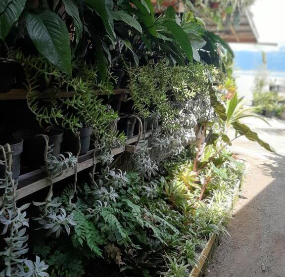 Общежитие Beach Guest House