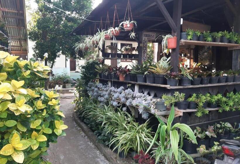 Общежитие Beach Guest House