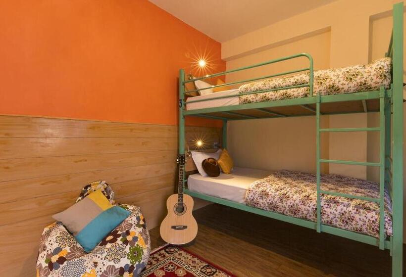 旅馆 Zostel Chitkul