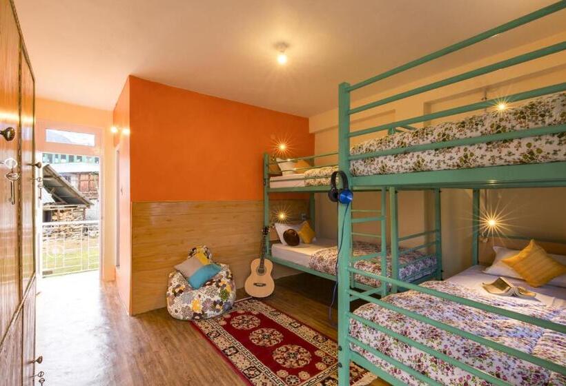 旅馆 Zostel Chitkul