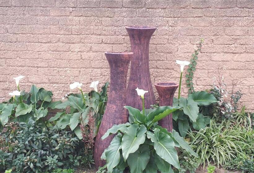 住宿加早餐  Die C Skulp