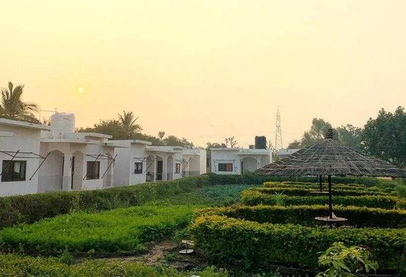 Haveli Expedition & Resort