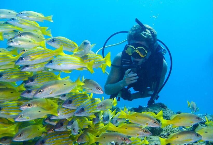 בית מלון כפרי Coral Divers