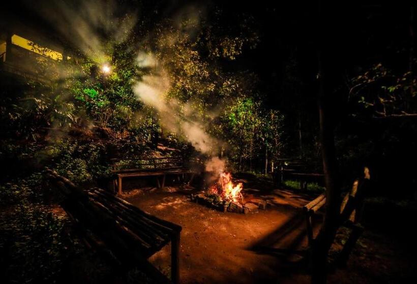 酒店 Golden Fern Resort