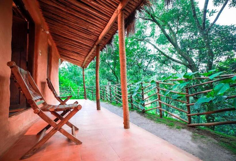 酒店 Golden Fern Resort