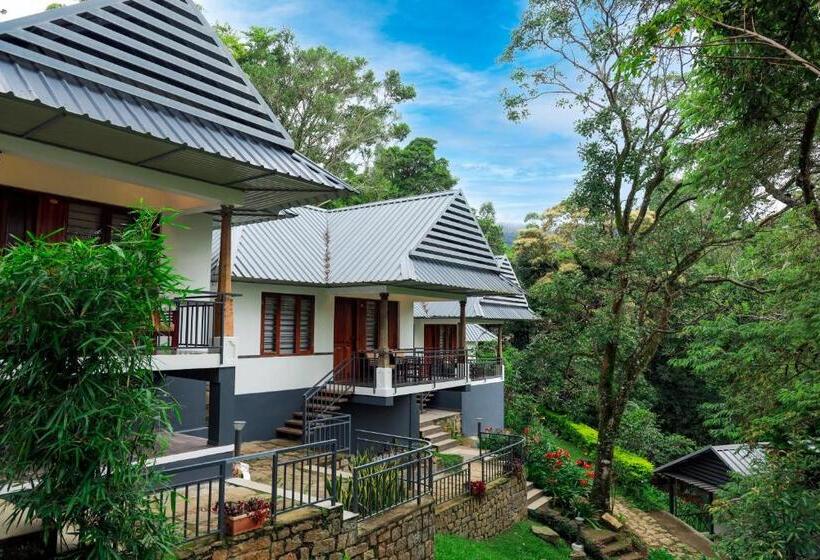 酒店 Golden Fern Resort