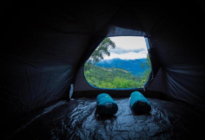 酒店 Golden Fern Resort