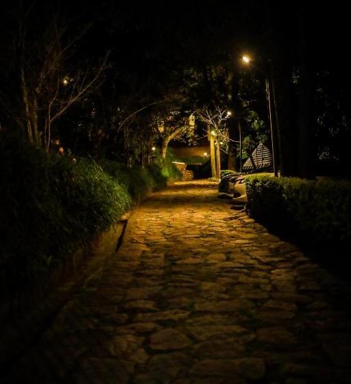 酒店 Golden Fern Resort