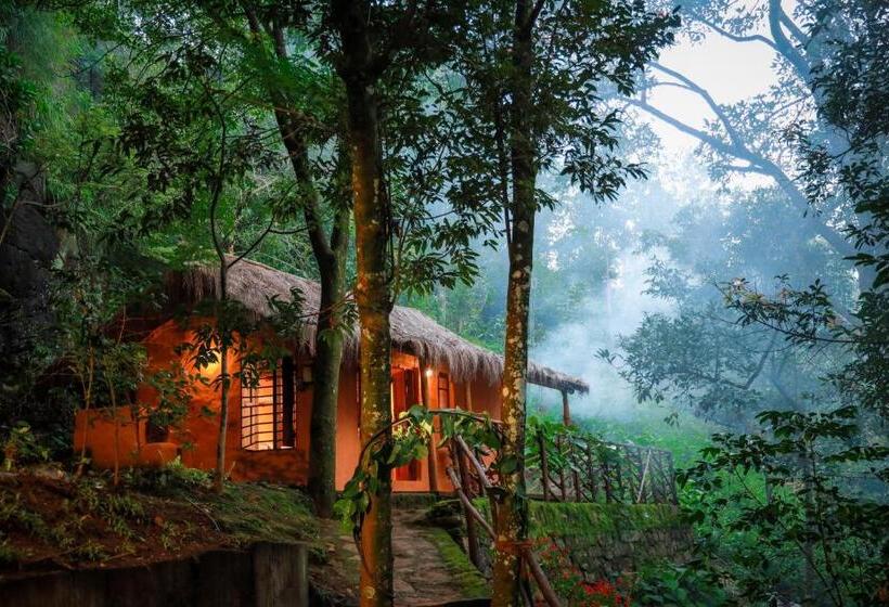 酒店 Golden Fern Resort