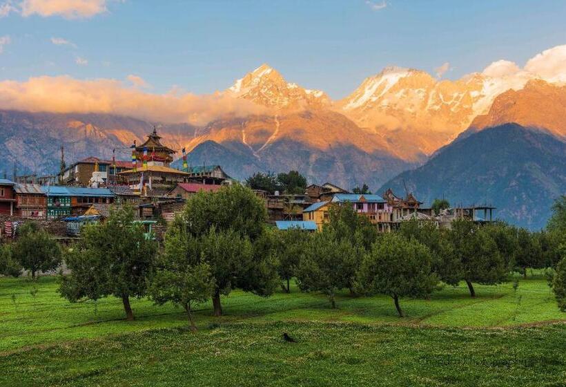 Отель Kalpa Deshang