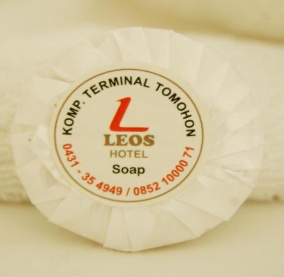 בית מלון כפרי Leos