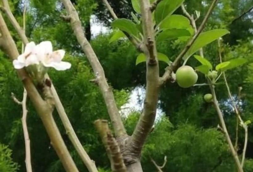 酒店 Nexstay Ministers Mansion