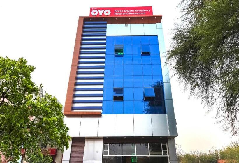 Shree Shyam Roseberry Hotel And Restaurant