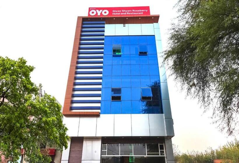 Shree Shyam Roseberry Hotel And Restaurant