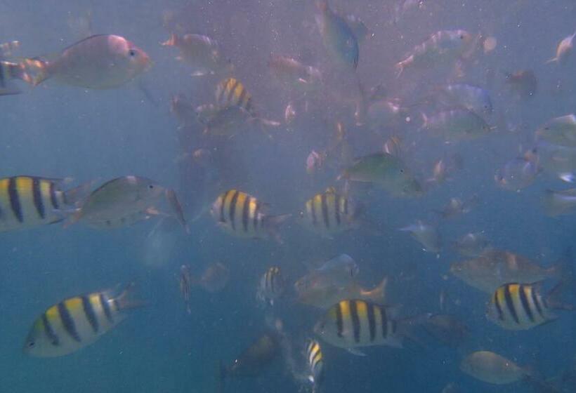 בית מלון כפרי Silver Fern Beach Retreat