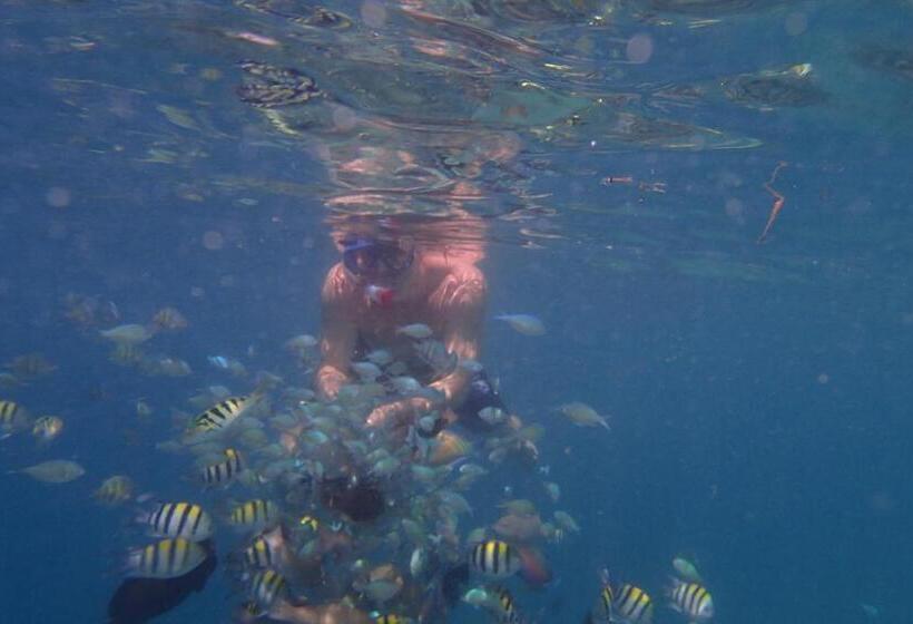 בית מלון כפרי Silver Fern Beach Retreat