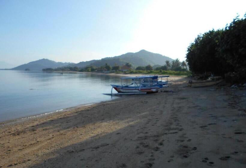 בית מלון כפרי Silver Fern Beach Retreat