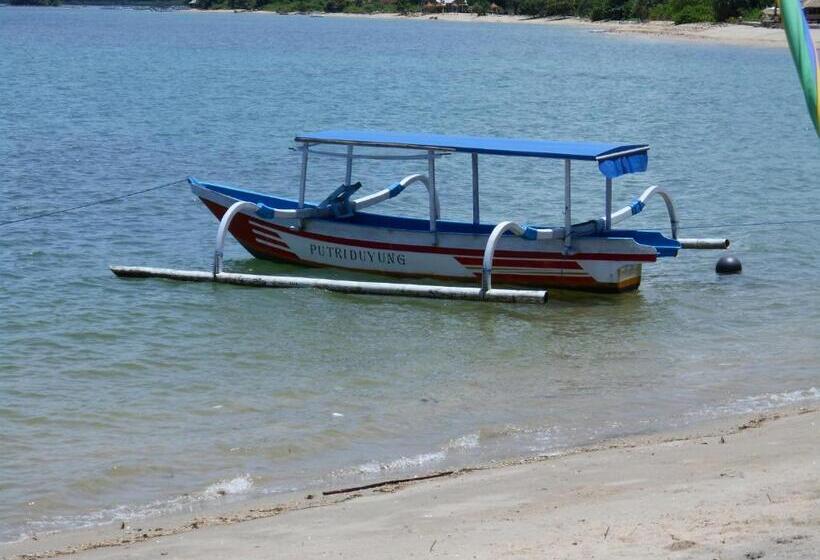 בית מלון כפרי Silver Fern Beach Retreat