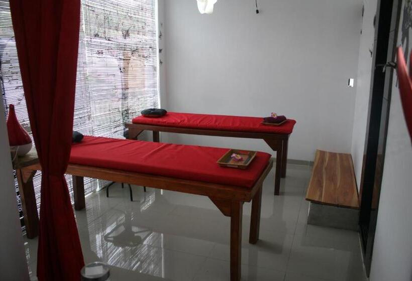 בית מלון כפרי Silver Fern Beach Retreat