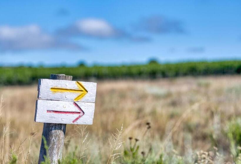 ホテル Strandveld Vineyards Cottages