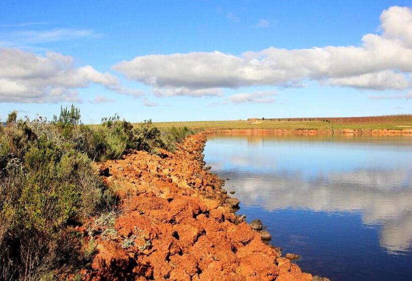 ホテル Strandveld Vineyards Cottages