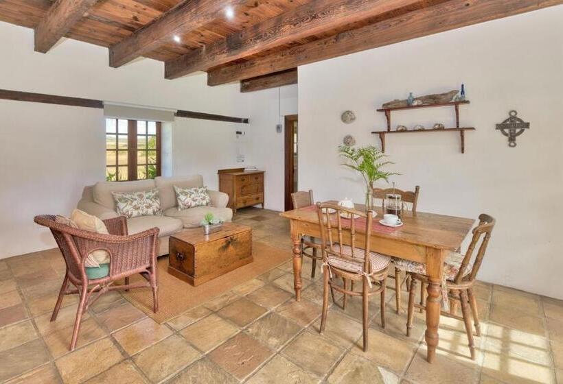 ホテル Strandveld Vineyards Cottages