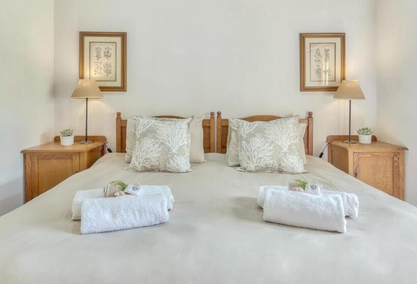 ホテル Strandveld Vineyards Cottages