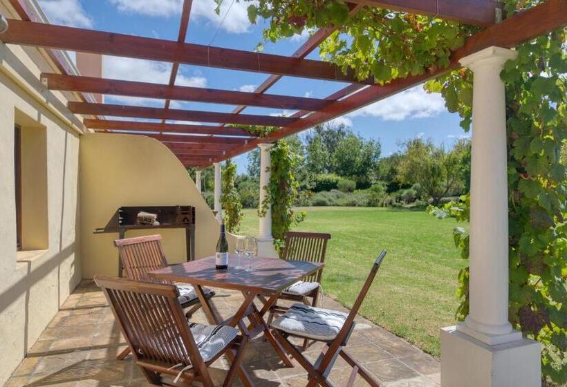 ホテル Strandveld Vineyards Cottages