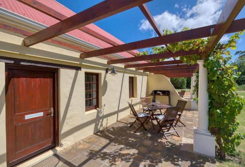 ホテル Strandveld Vineyards Cottages