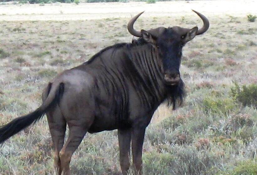 فندق The Vale Karoo Farm