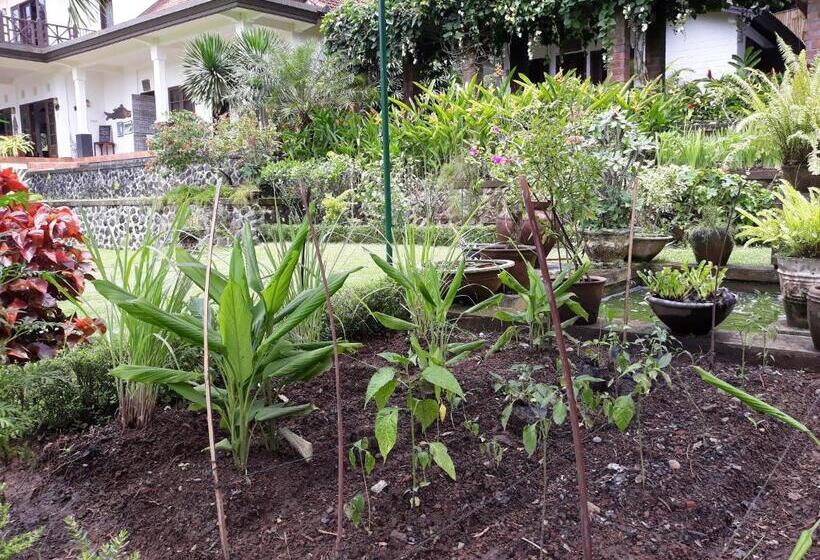 פנסיון Bukit Asri Lodge