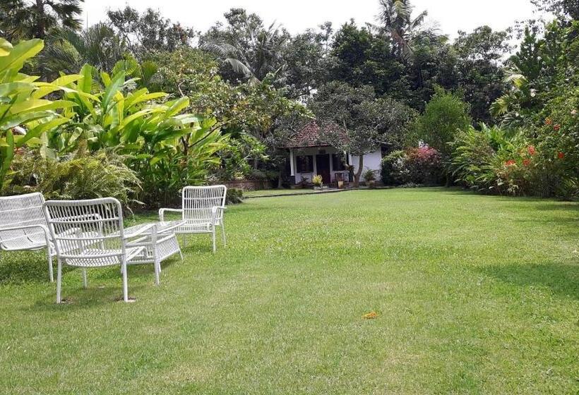 פנסיון Bukit Asri Lodge