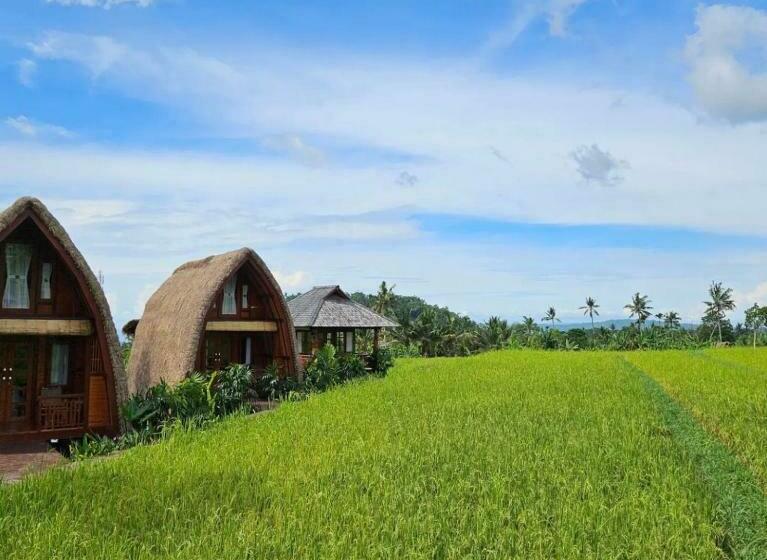 פנסיון Cabé Bali