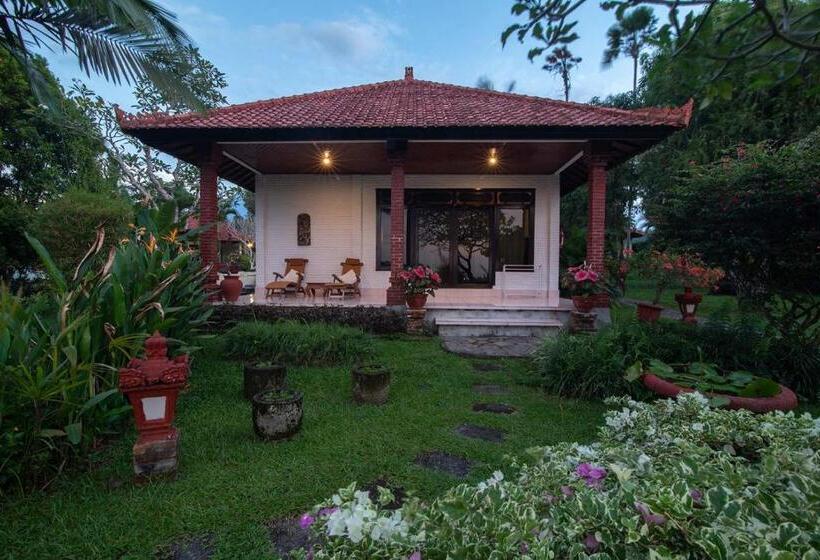 פנסיון Cabé Bali