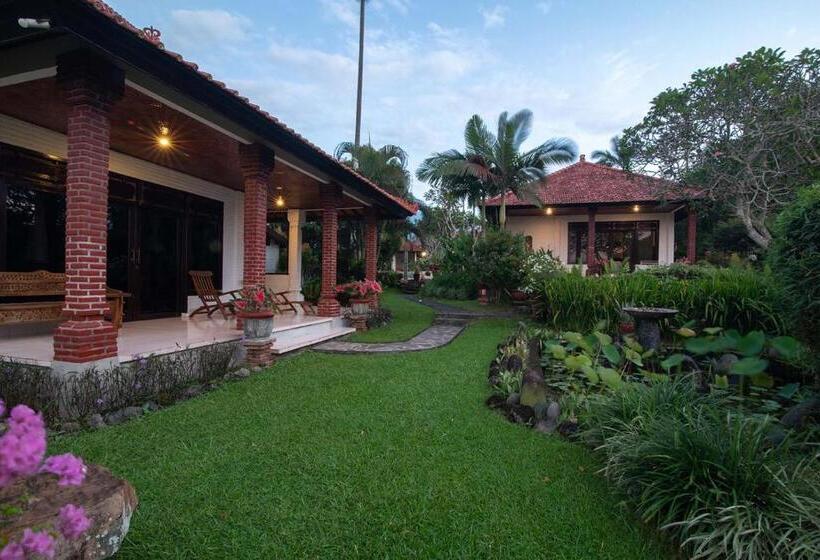 פנסיון Cabé Bali