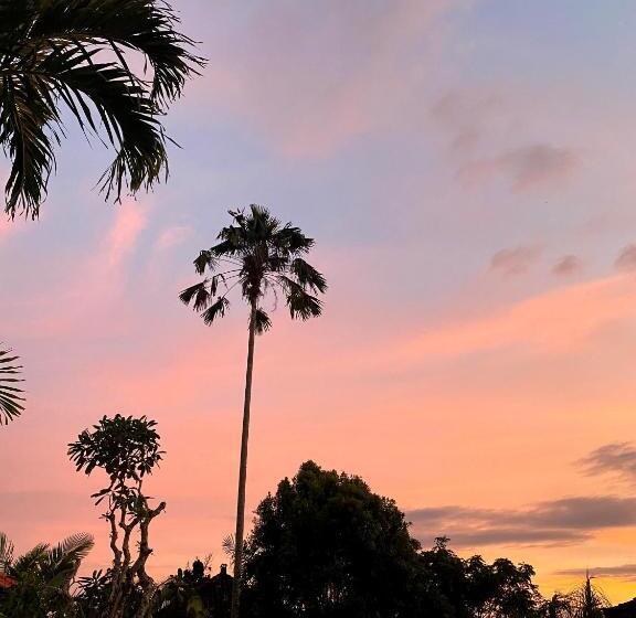 פנסיון Cabé Bali