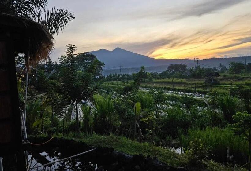 פנסיון Cabé Bali