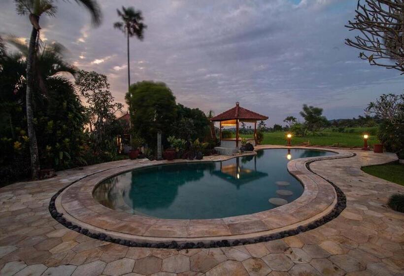 פנסיון Cabé Bali