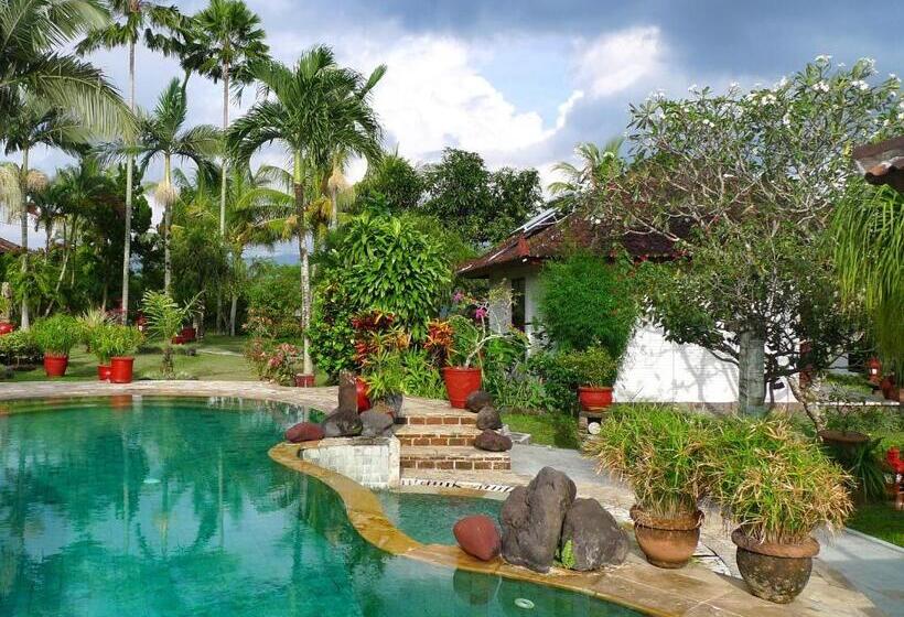 פנסיון Cabé Bali