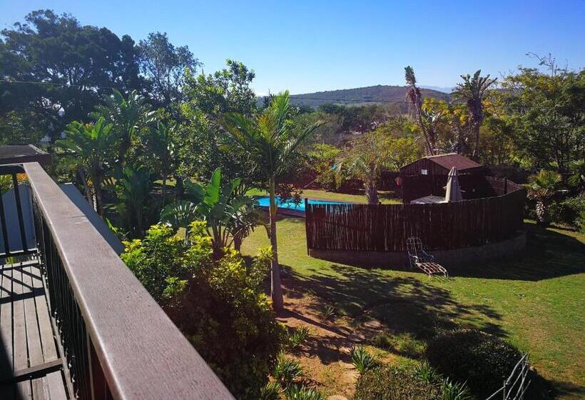 بنسيون Cheetah Lodge Guest House